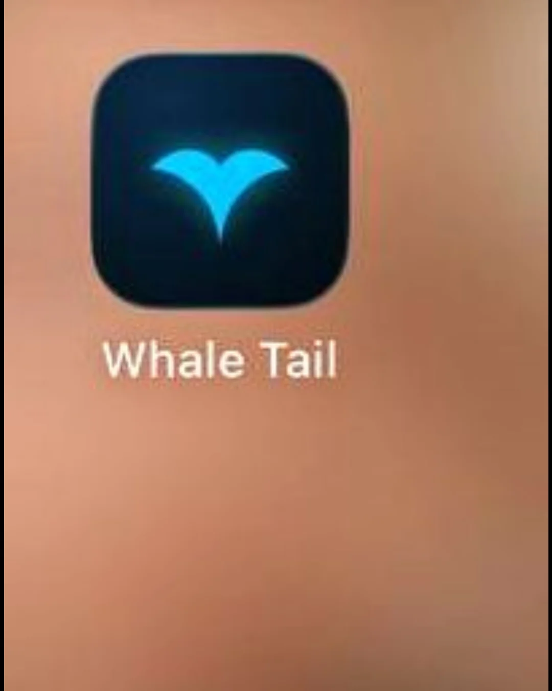 Post by user